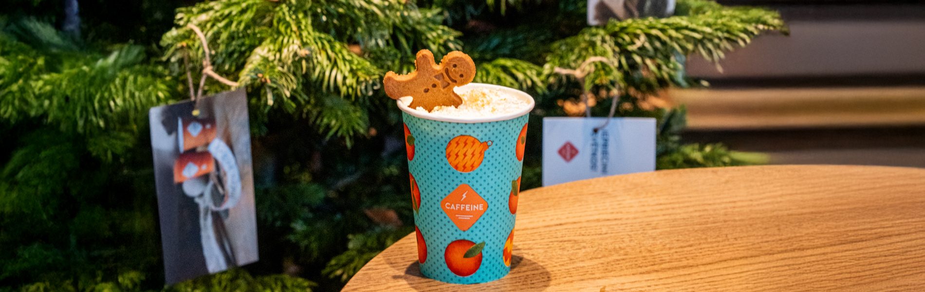 1900x600px_Gingerbread