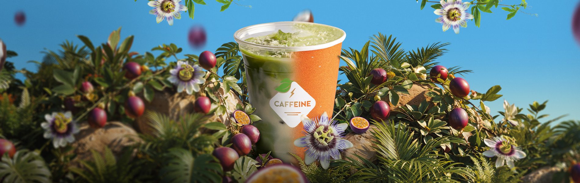 1900x600px_webam_TROPICOOL_MATCHA